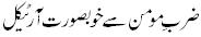  Beautifull Article from zarb-e-momin.